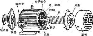 振動電機損壞的常見原因有哪些？